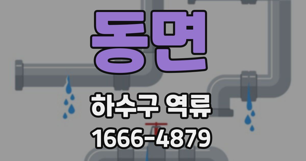 동면 하수구 역류