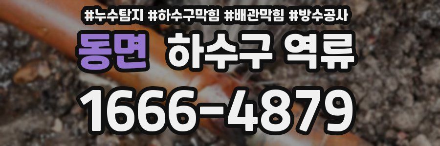 동면 하수구 역류