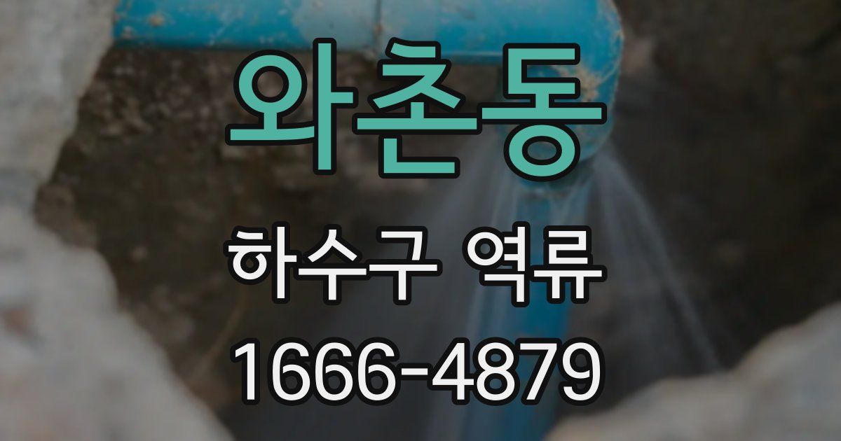 와촌동 하수구 역류