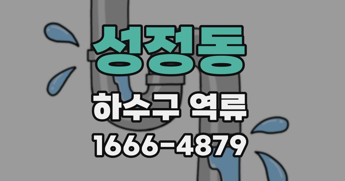 성정동 하수구 역류