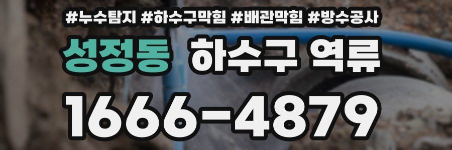 성정동 하수구 역류