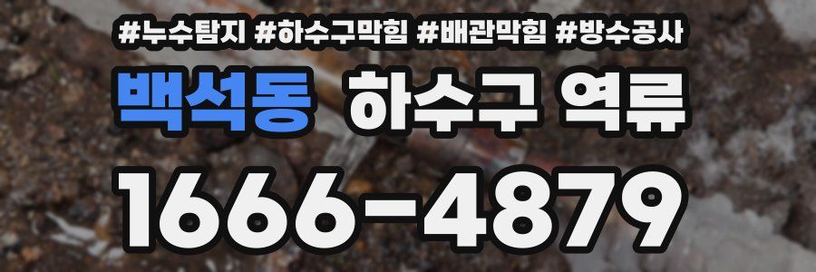 백석동 하수구 역류