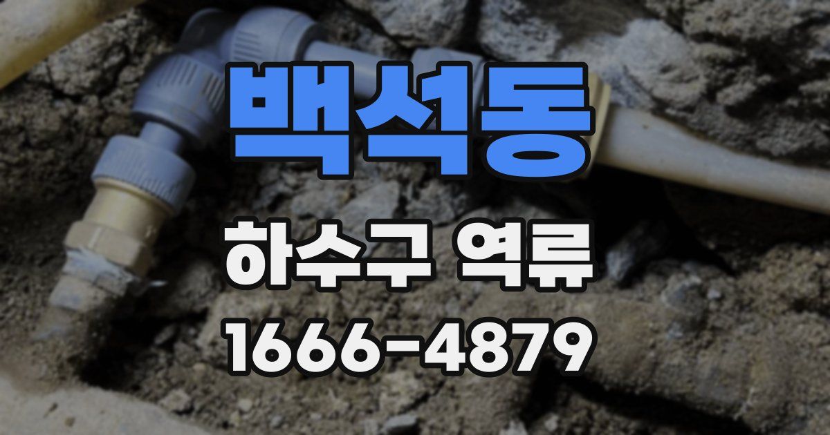 백석동 하수구 역류