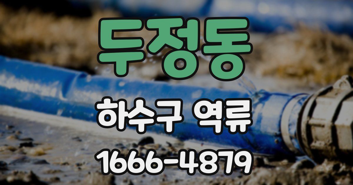 두정동 하수구 역류