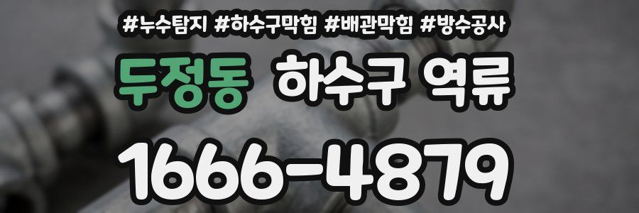두정동 하수구 역류