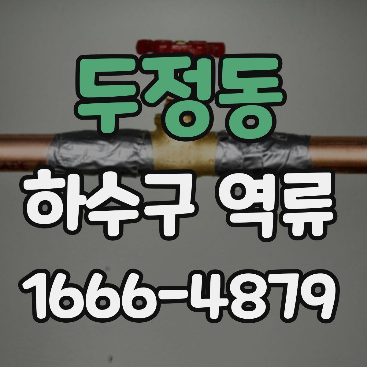 두정동 하수구 역류