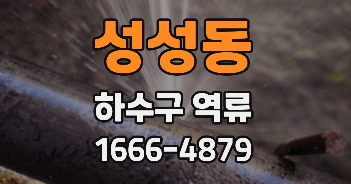 성성동 하수구 역류