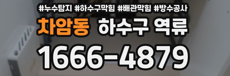 차암동 하수구 역류