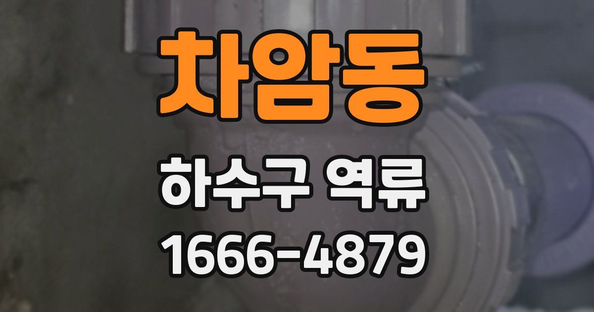 차암동 하수구 역류