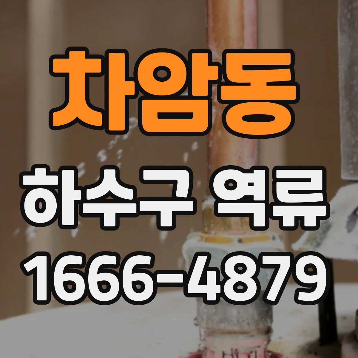차암동 하수구 역류