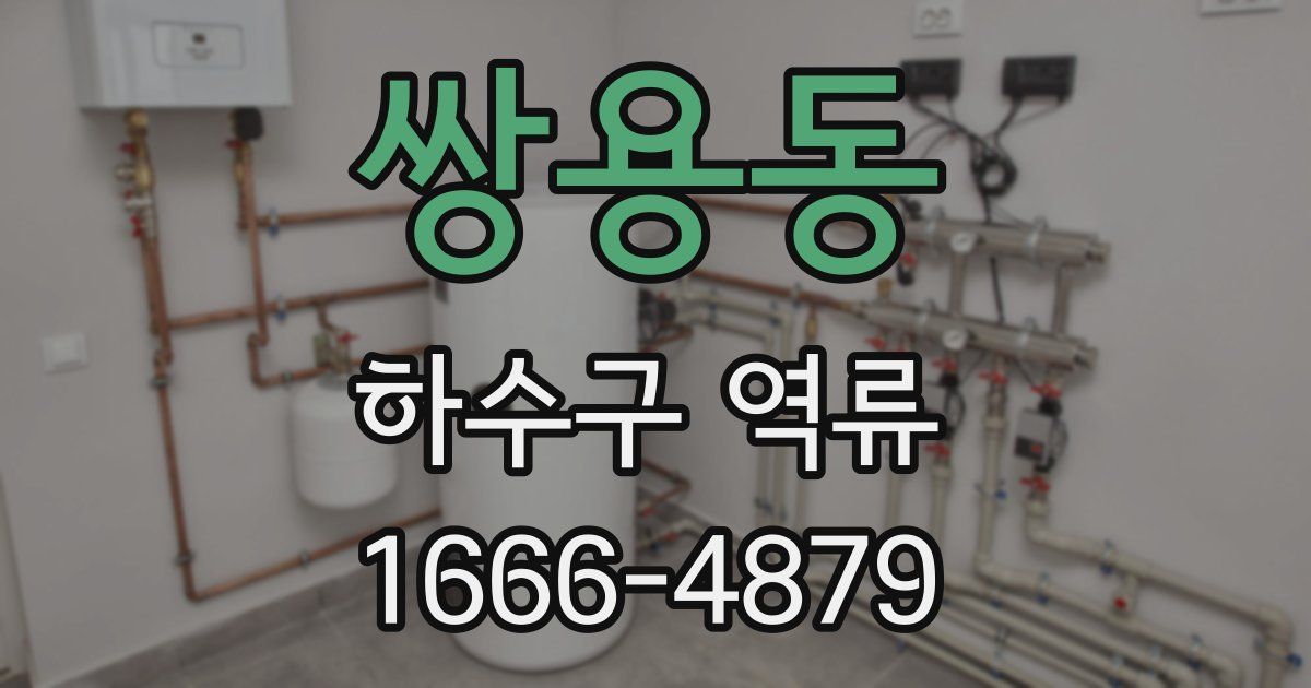 쌍용동 하수구 역류