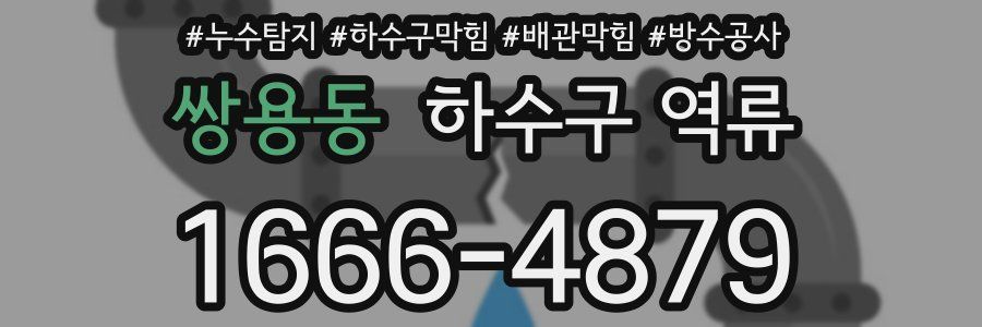 쌍용동 하수구 역류