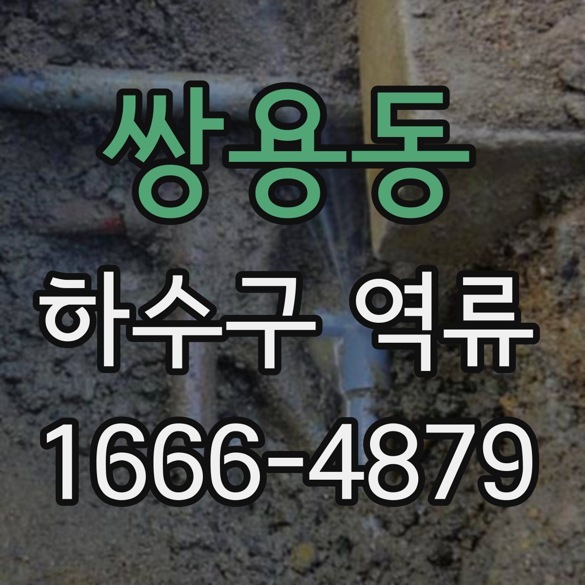 쌍용동 하수구 역류