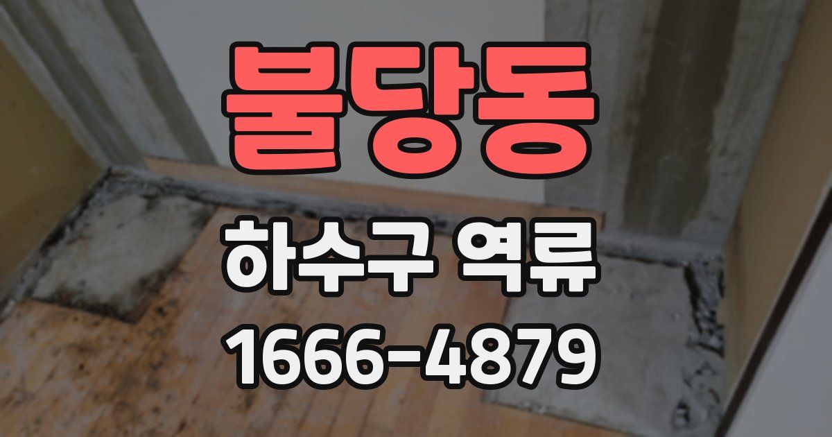 불당동 하수구 역류