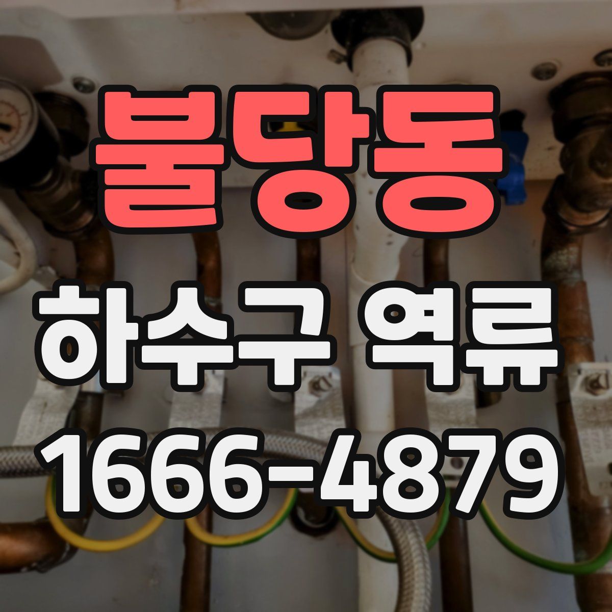 불당동 하수구 역류