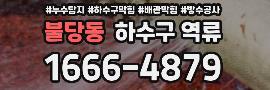 불당동 하수구 역류