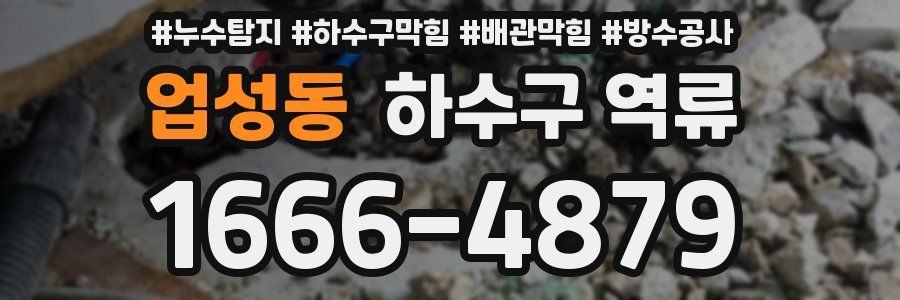업성동 하수구 역류