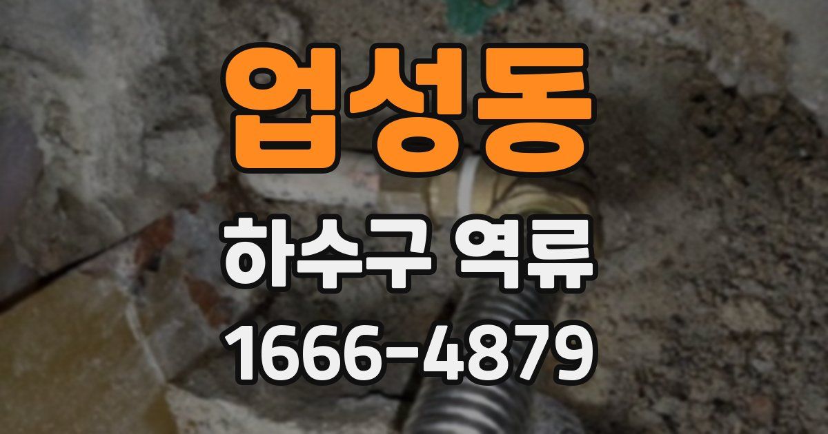 업성동 하수구 역류