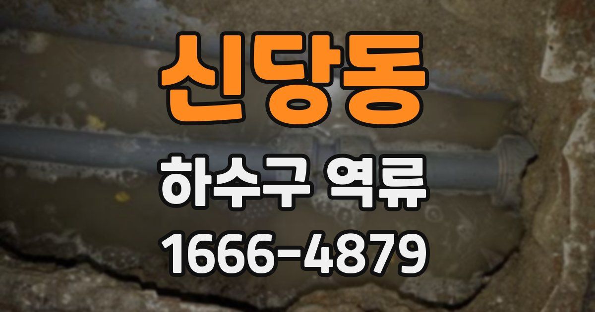 신당동 하수구 역류