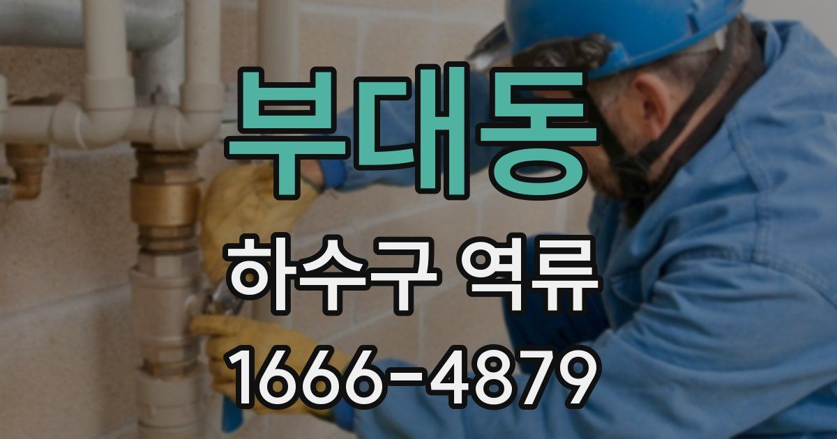 부대동 하수구 역류