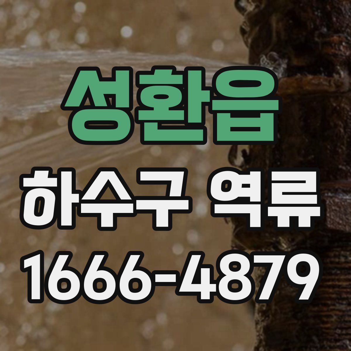 성환읍 하수구 역류
