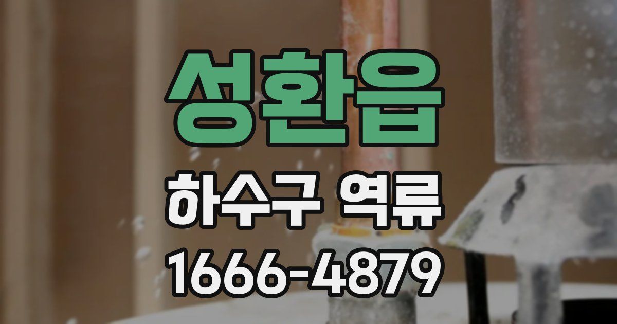 성환읍 하수구 역류