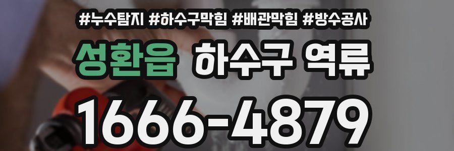 성환읍 하수구 역류