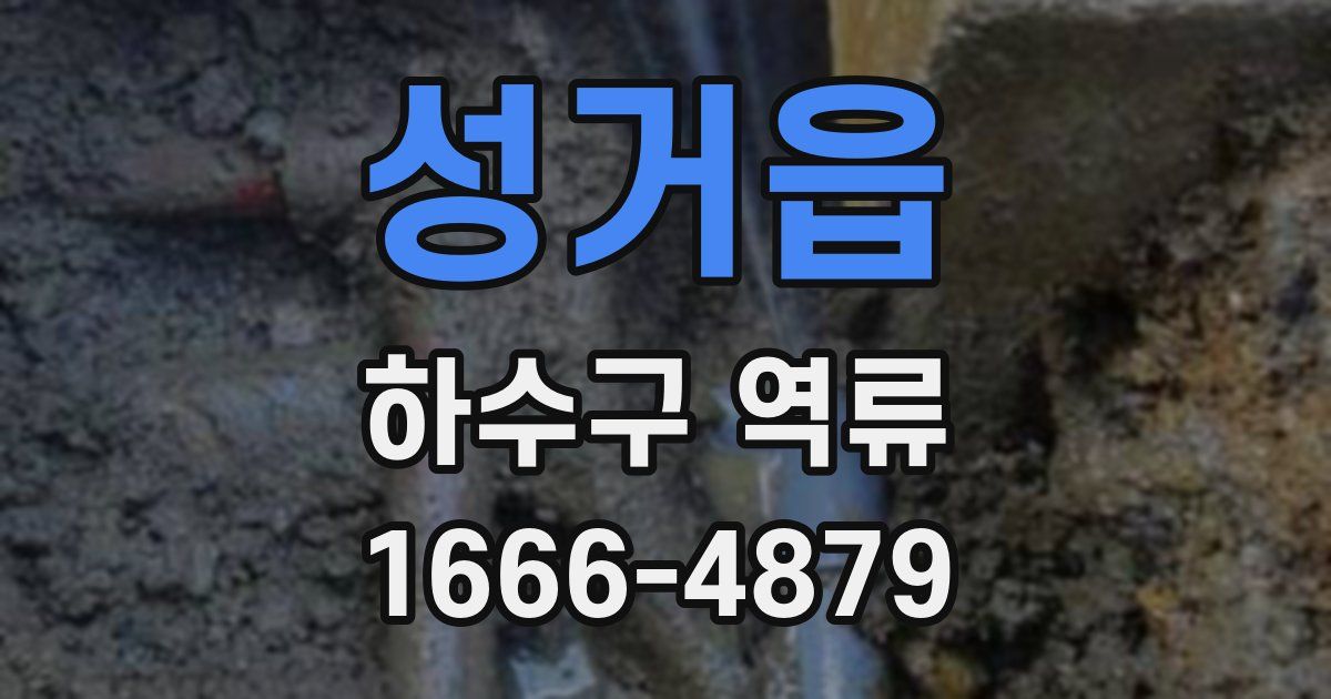 성거읍 하수구 역류