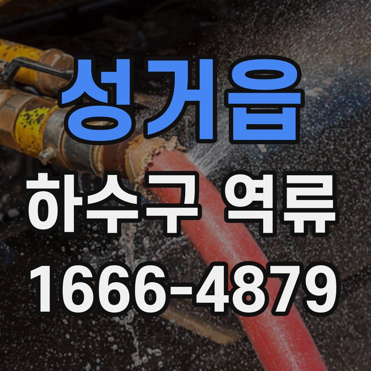 성거읍 하수구 역류