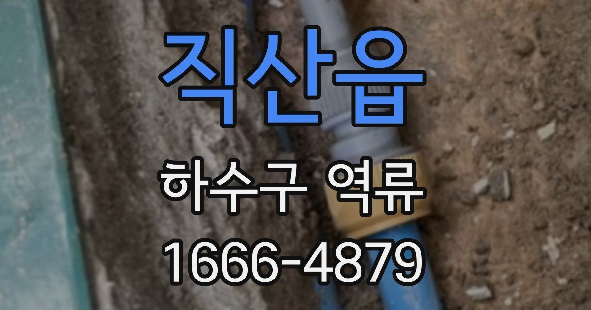 직산읍 하수구 역류