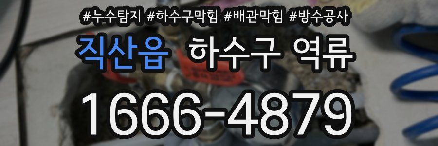 직산읍 하수구 역류