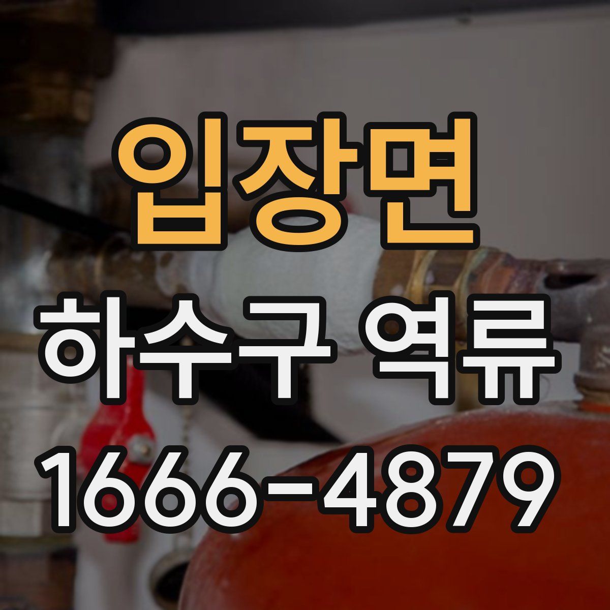 입장면 하수구 역류