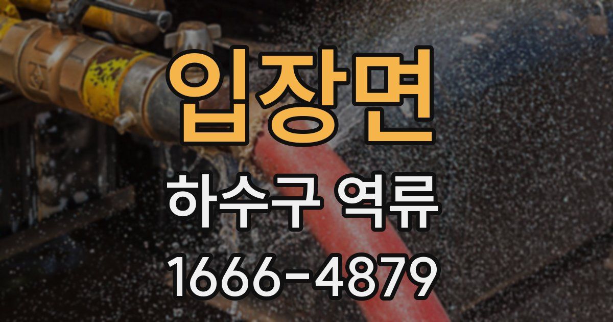 입장면 하수구 역류