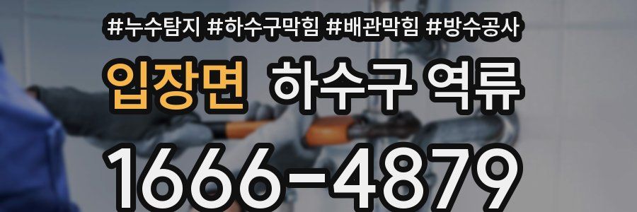 입장면 하수구 역류