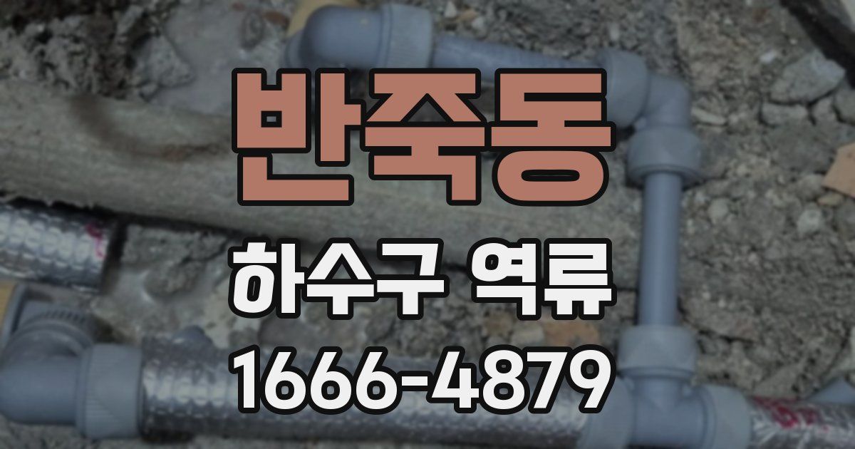 반죽동 하수구 역류