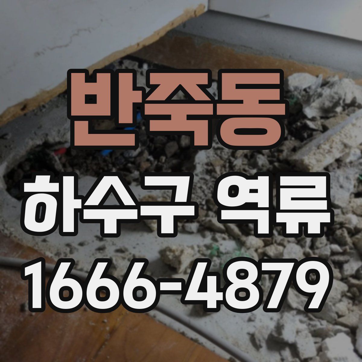 반죽동 하수구 역류