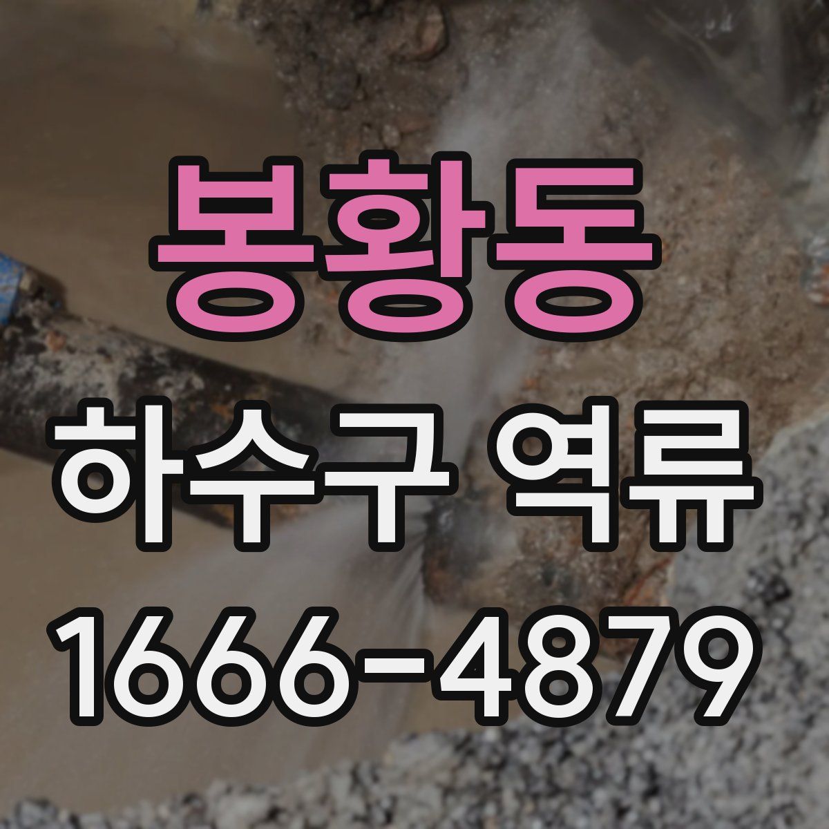 봉황동 하수구 역류