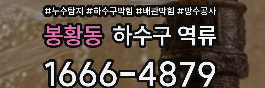 봉황동 하수구 역류