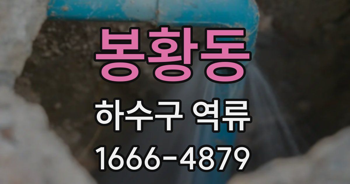 봉황동 하수구 역류