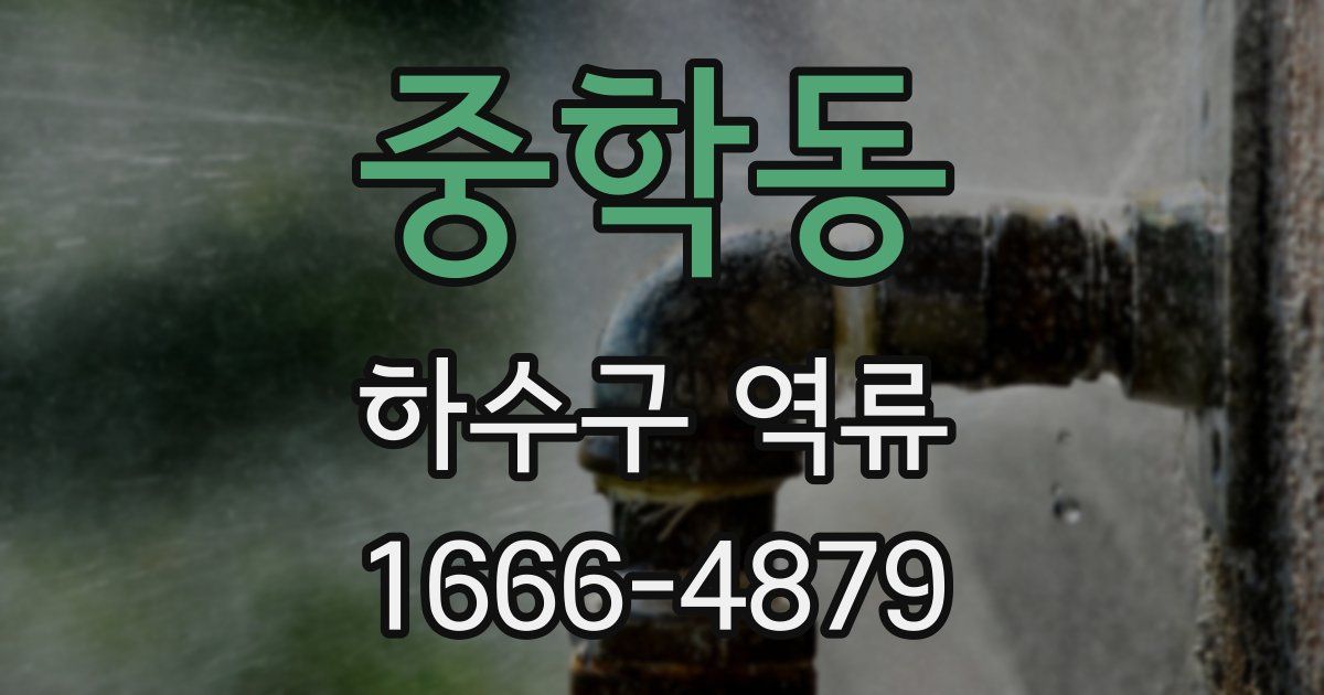 중학동 하수구 역류