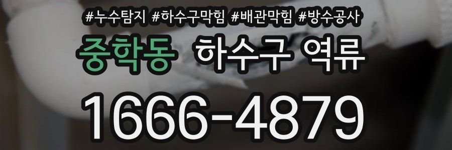 중학동 하수구 역류