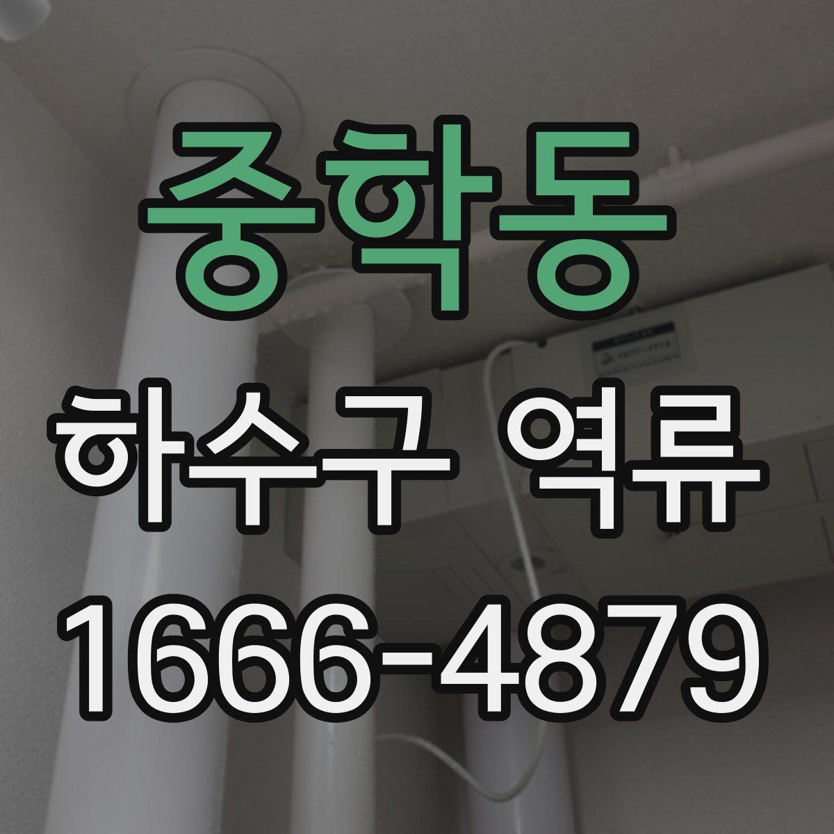 중학동 하수구 역류