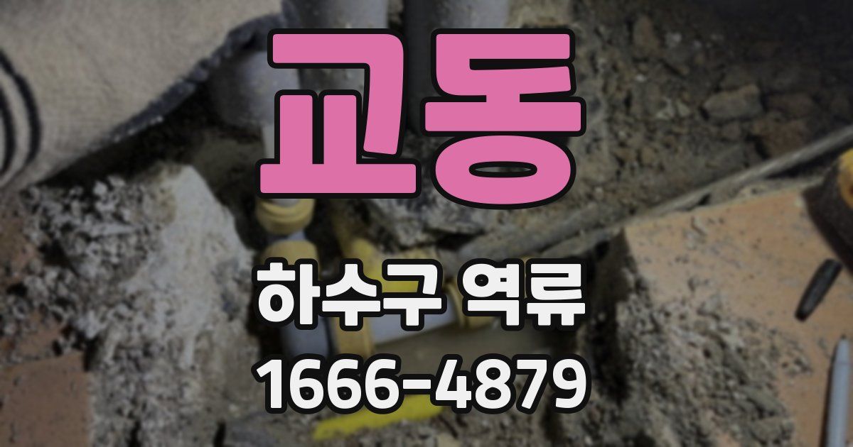 교동 하수구 역류