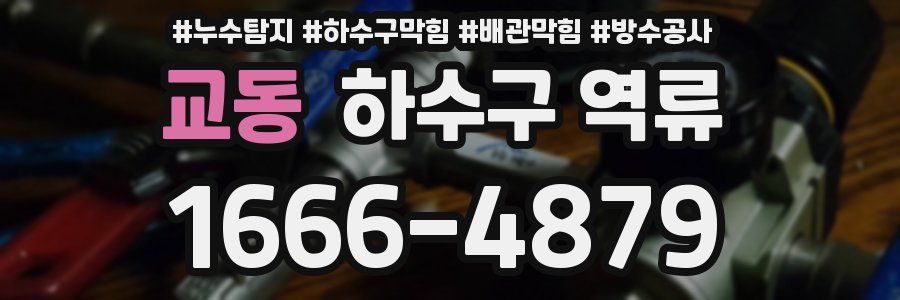교동 하수구 역류