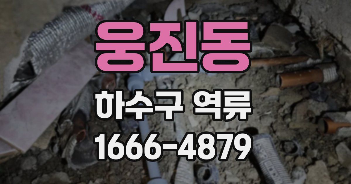 웅진동 하수구 역류