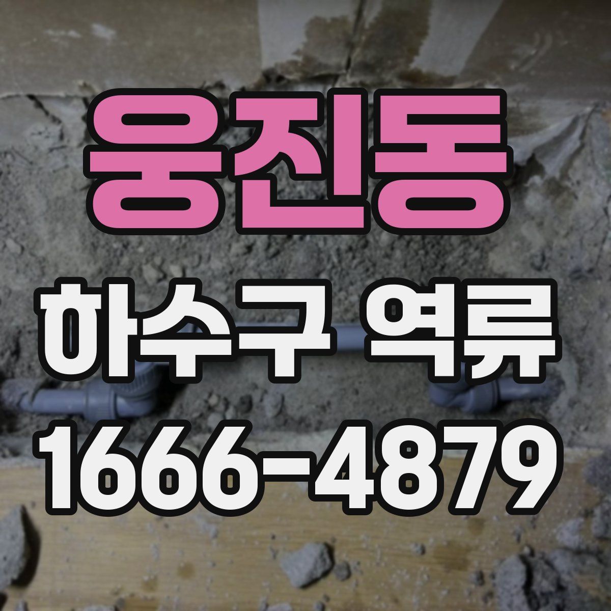 웅진동 하수구 역류