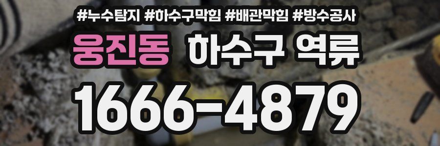 웅진동 하수구 역류