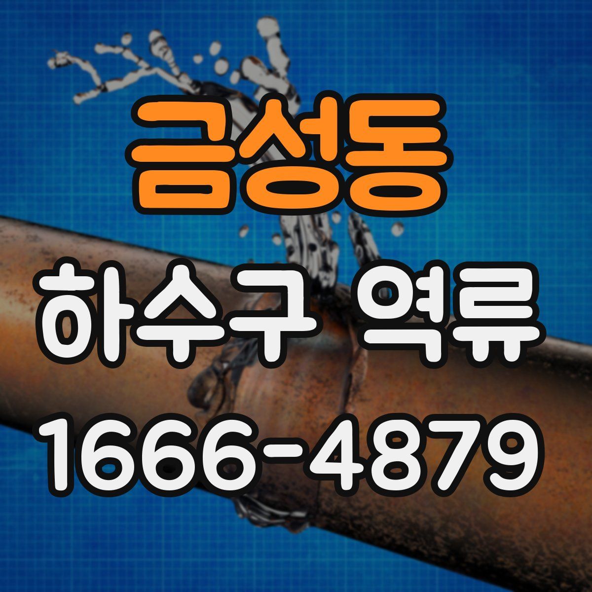 금성동 하수구 역류