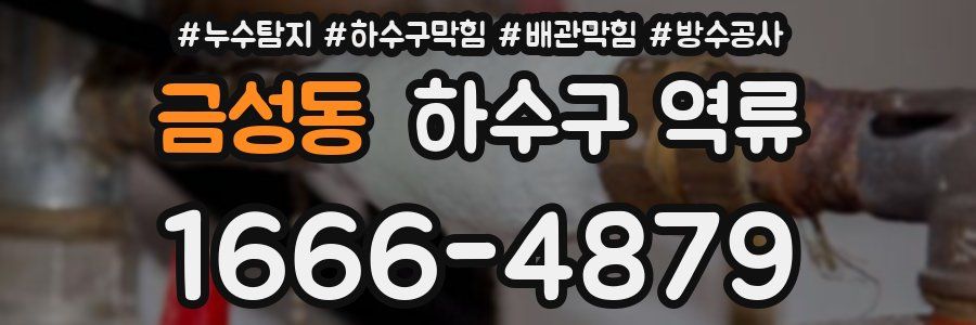 금성동 하수구 역류