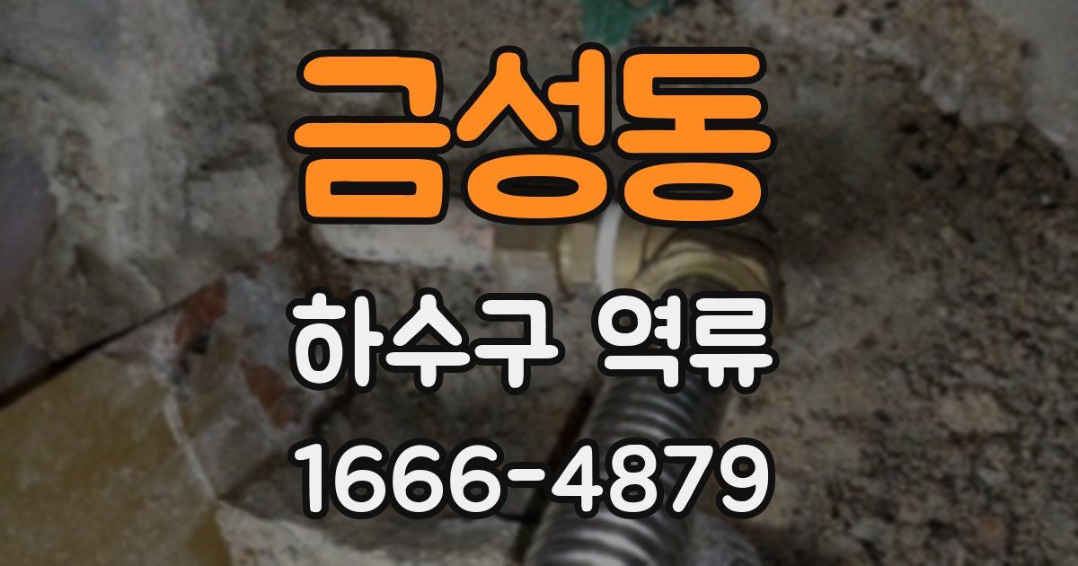 금성동 하수구 역류